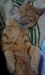 ☆今日の画像は？☆