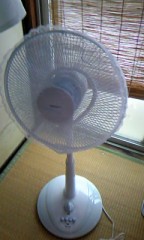 おはようございます。＼(^ー^)／