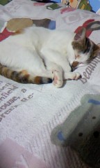 ☆おはようございます。(*⌒▽⌒*)☆