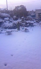 ☆~(=^‥^)ノ☆ おはよぉ！☆