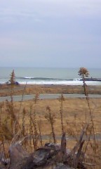 ★(*・ｪ･*)ﾉ~☆ｺﾝﾊﾞﾝﾜ♪★