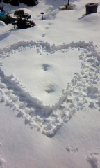 ★...((((=(´・ω・｀)ノ" ばんわぁ～★