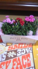 今日は母の日。