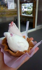 ☆(｡uωu)＜こんばんゎ☆