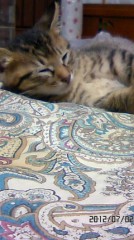 (o´'∀'｀o)ゞばんわぁ♪