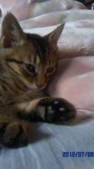 この画像で癒されて。ヾ(≧∇≦*)ゝｷｬﾊ