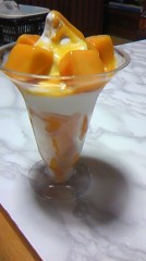 (｡uωu)＜こんばんゎ