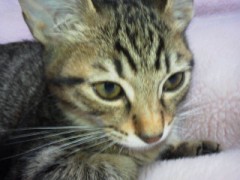 ★こんばんわぁヾ(*^▽^*)〃★