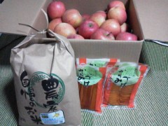 (=^･ω･)ﾉこんばんにゃん♪