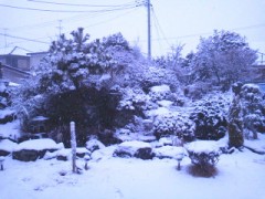 (*´-ω-)bｺﾝﾊﾞﾝヮ♪d(-ω-`*)