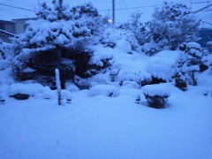 ｺﾝﾊﾞﾝ(∩･∇･∩)ﾜｧｰ