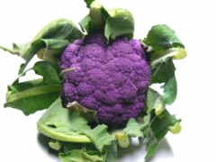 ☆こんばんわぁヾ(*^▽^*)〃☆