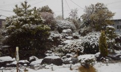 今日は仕事休みでした。(*^o^*)