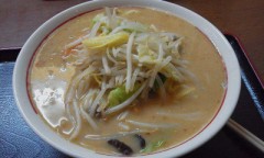 ☆(=^・ω・)ノこんばんにゃん♪☆