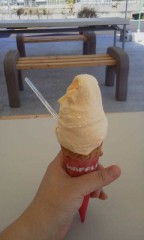 今日は仕事休みでした。(*^_^*)