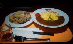 (=^・ω・)ノこんばんにゃん♪