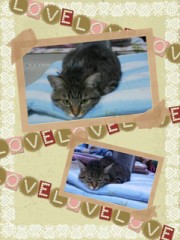 こんばんは。＼(^ω^)／