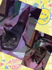 ☆こんばんは。(o^^o)♪☆