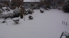 家の庭こんなに雪が積もってる。(/ω＼)