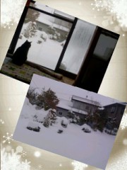 (*・ｪ･*)ﾉ~☆ｺﾝﾊﾞﾝﾜ♪