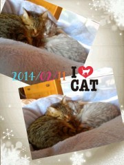 (*^^*)*^^*)*^^*)ｺﾝﾊﾞﾝﾊ♪