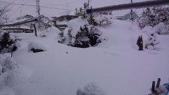 こんばんはー(^∇^*)ﾉﾟ･:*