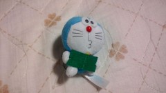 こんばんは。＼(^_^)／