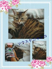 こんばんは(o^^o)