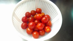 野菜収穫しました。＼(^^)／