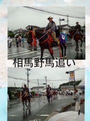 相馬野馬追い見に。(o^^o)