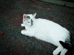 今日は休み。(o^^o)