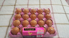 こんばんは(o^^o)