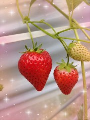 こんばんは＼(^▽^)／