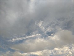 おはようございます。(*^^*)