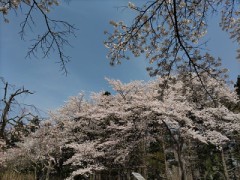 久しぶりの投稿です。(*^^*)