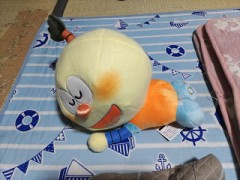 こんばんは(*^^*)