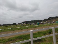 こんばんは(*^^*)