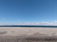 こんにちは(*^^*)