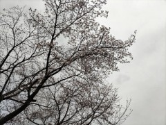 ★こんばんは(*^^*)★