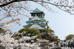 桜を満喫　花見はいいよね