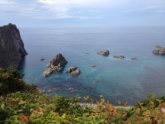 癒しのドライブ