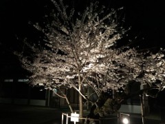 【お題日記】インターネットは善なのか？悪なのか！？