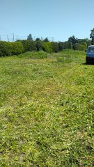 独身の農女(農業女子)募集