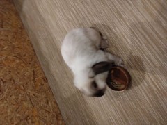 また来てしまいました