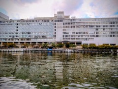 大川から見ると