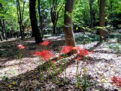 お客さまを迎えるにあたり