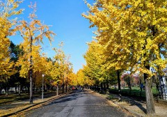 父との思い出（その２）