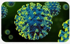 新型コロナパンデミックは何だったのか！？