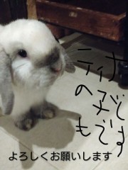 ウサギも代替わり！