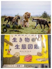 トキソプラズマ！